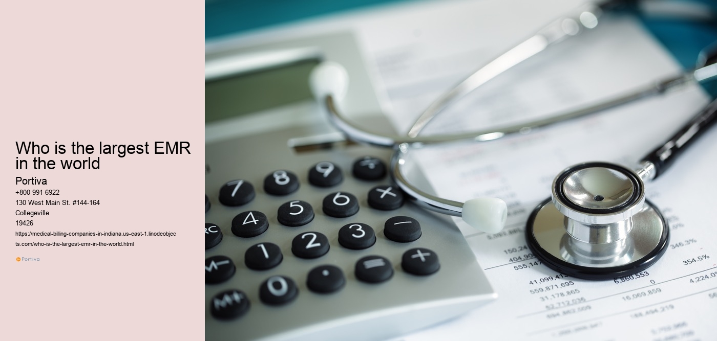 Who is the largest EMR in the world